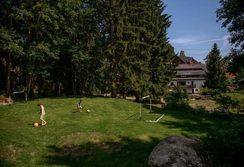 شقة غرفة واحدة, Pension Styl