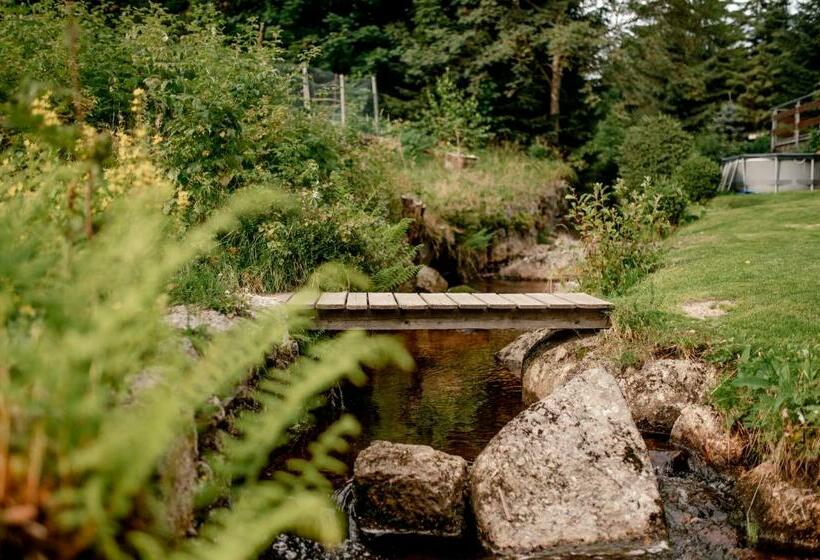 شقة غرفة واحدة, Pension Styl