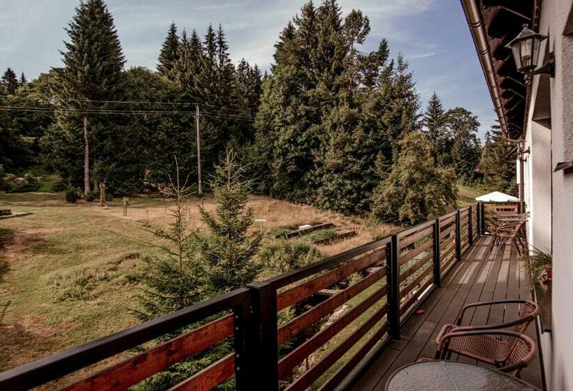 شقة غرفة واحدة, Pension Styl