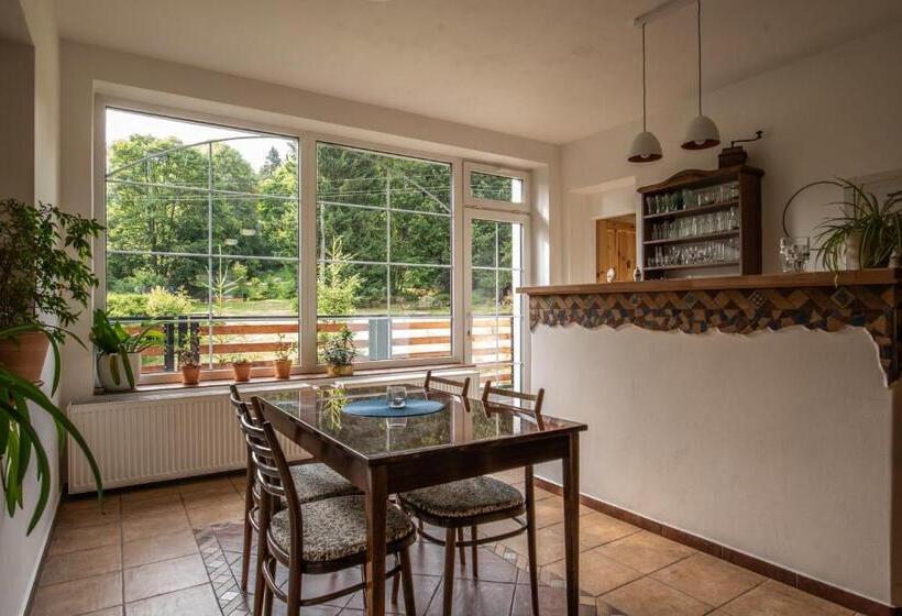 شقة غرفة واحدة, Pension Styl