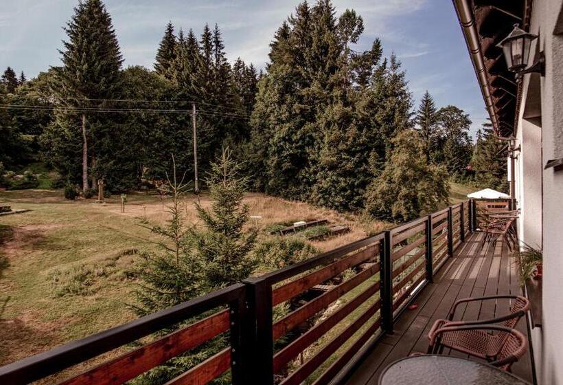 غرفة قياسية, Pension Styl