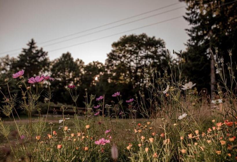 غرفة قياسية ثلاثية, Pension Styl