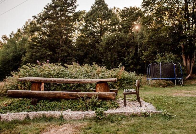 غرفة قياسية ثلاثية مطلة علي الحديقة, Pension Styl