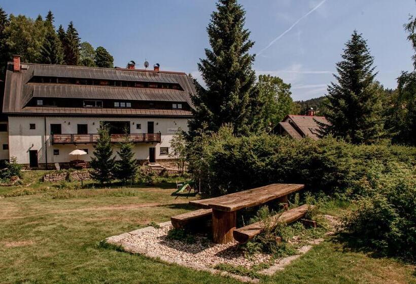 غرفة قياسية ثلاثية مطلة علي الحديقة, Pension Styl