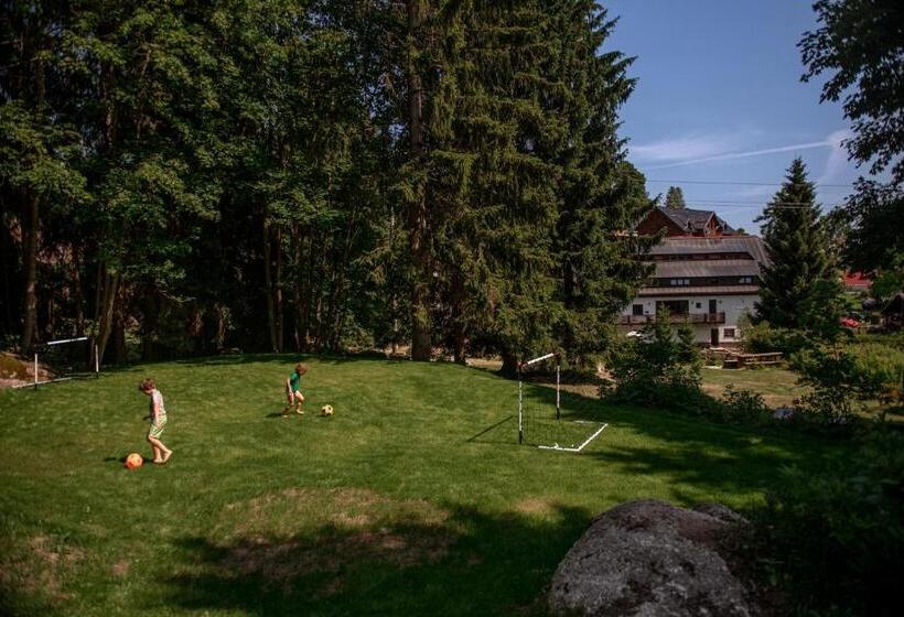 غرفة قياسية ثلاثية مطلة علي الحديقة, Pension Styl