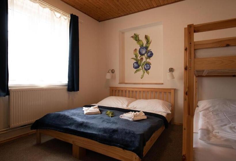 شقة غرفة واحدة, Pension Styl