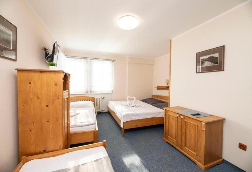 اتاق استاندارد چهار تخته, Penzion Vysoká Stráž