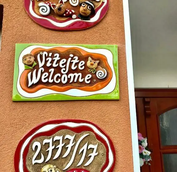 Standard Yhden Hengen Huone, Vila Adéla Teplice