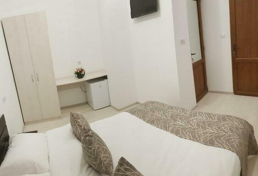 经济房, Vila șaguna