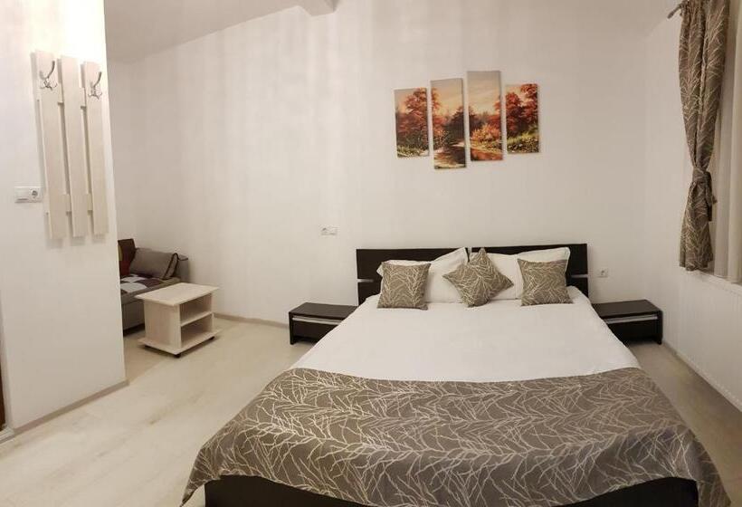 家庭间, Vila șaguna