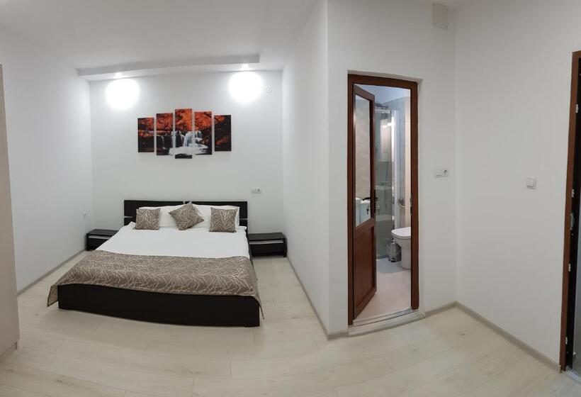 豪华房间, Vila șaguna