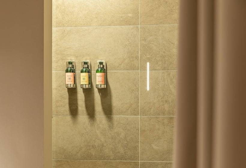 Cameră Standard, Vík í Mýrdal