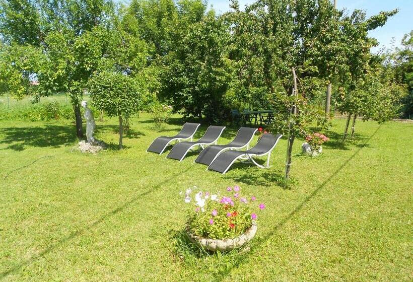 Четырехместный Номер Стандарт, B&b Ergira