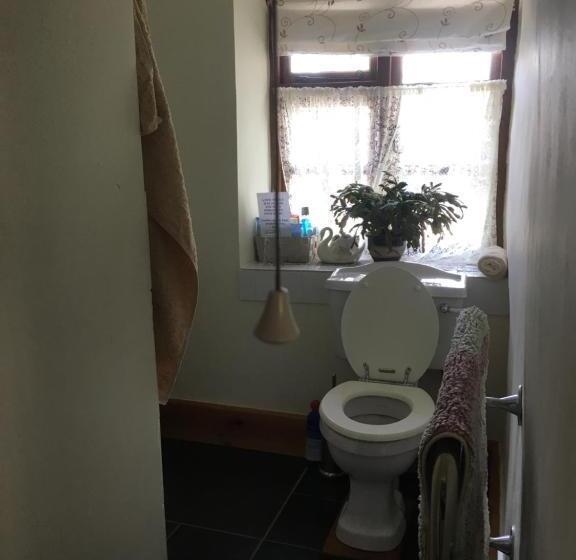 스탠다드 싱글 룸, Gooseford Farm