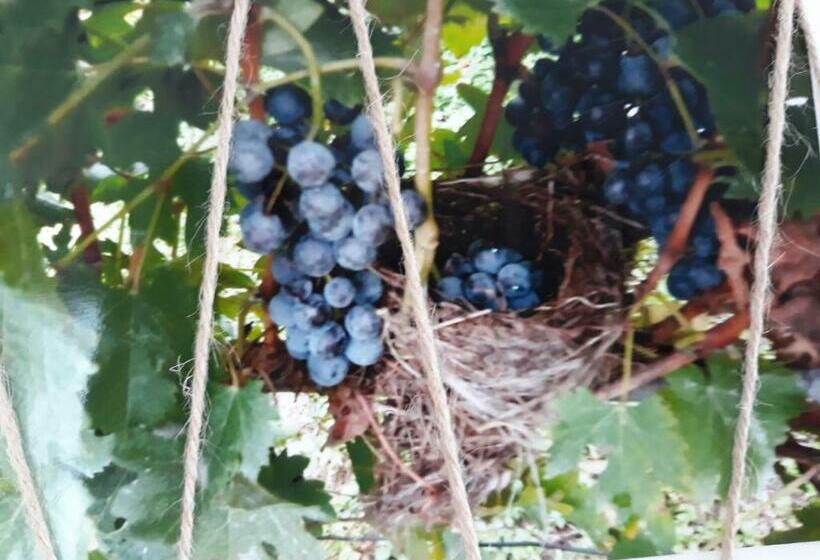 غرفة ديلوكس عائلية, Il Vigneto