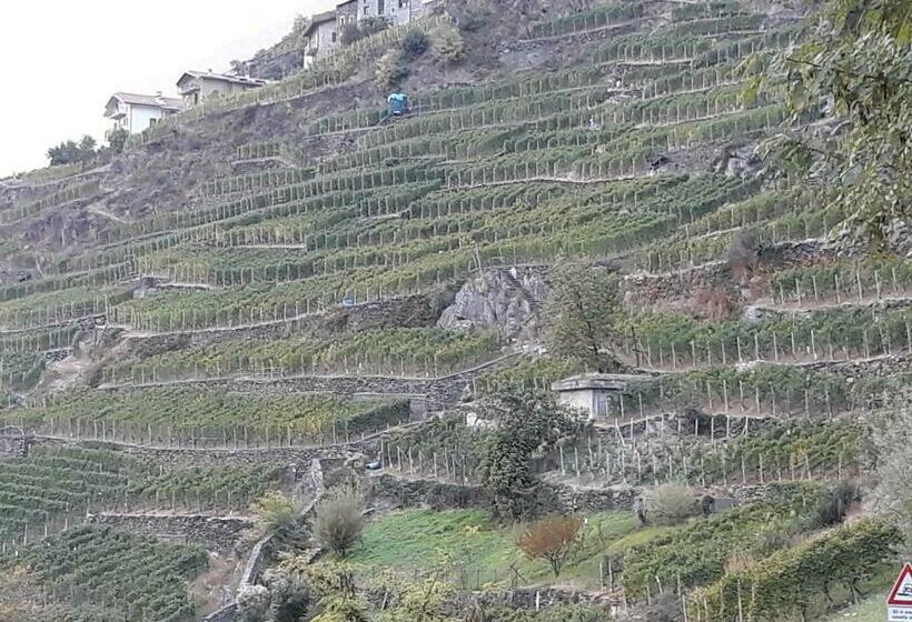 غرفة ديلوكس عائلية, Il Vigneto