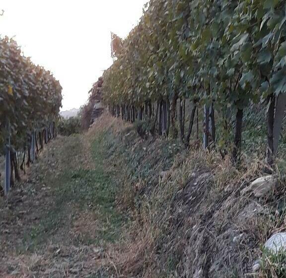 غرفة ديلوكس عائلية, Il Vigneto