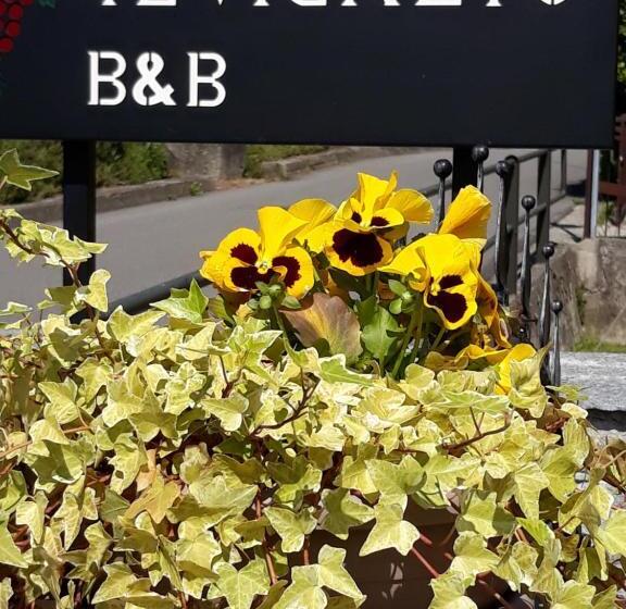 غرفة عائلية, Il Vigneto