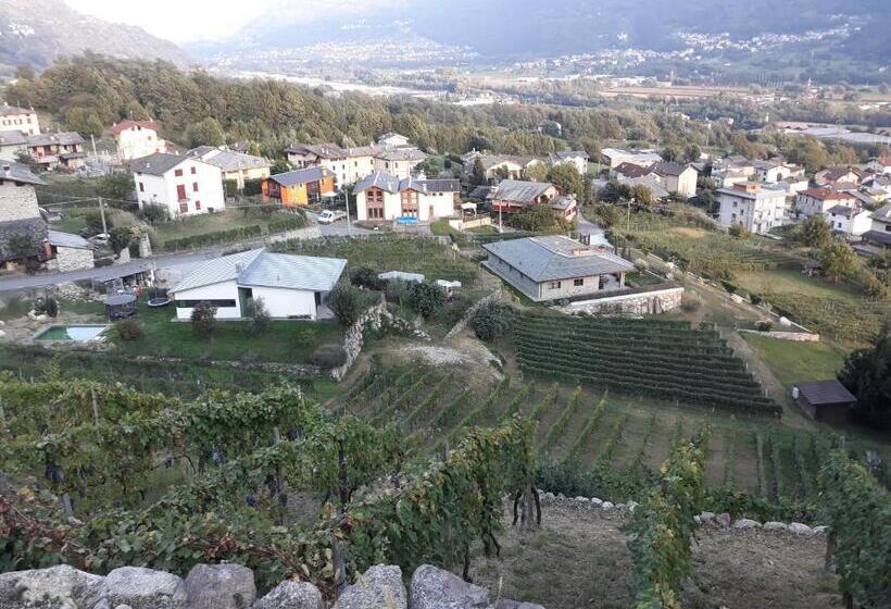 غرفة عائلية, Il Vigneto