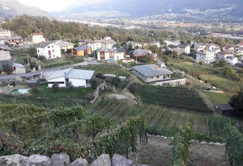 ファミリールーム, Il Vigneto