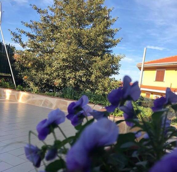 スタンダードルーム, L Agrifoglio Dell Etna