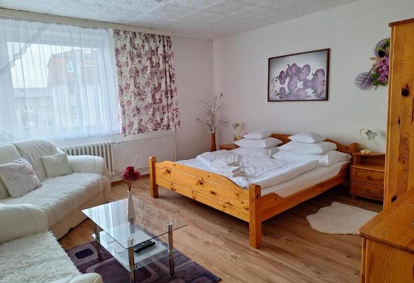 标准间, Vila Gabriel