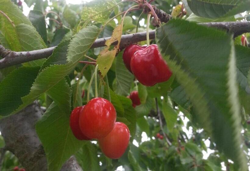 اتاق لوکس, Alta Perugia B&b