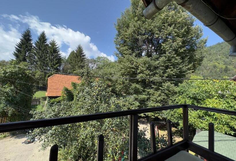 패밀리 룸, Pensiunea Bianca