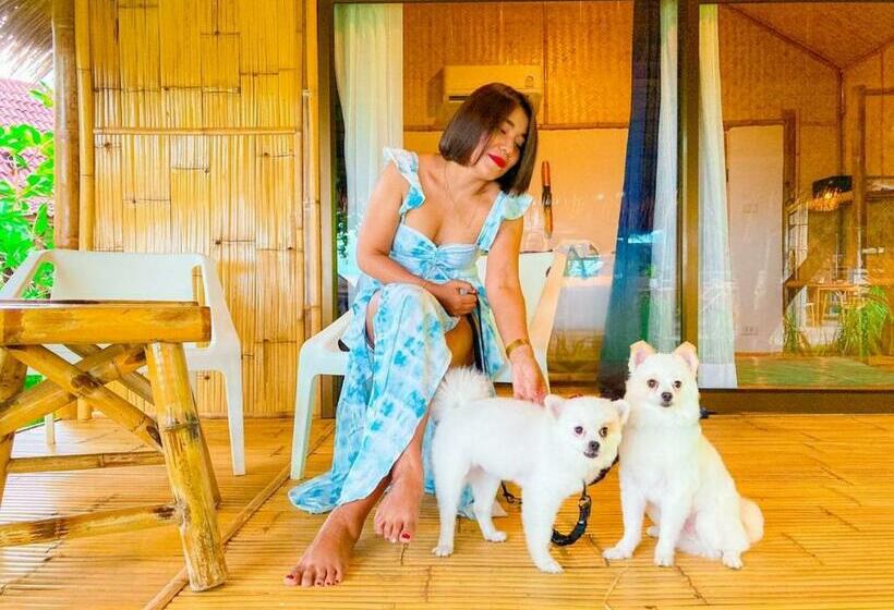 スタンダードバンガロー, Margarita Beach