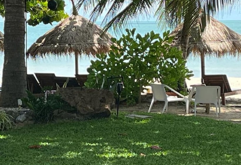 オーシャンビューのスタンダードバンガロー, Margarita Beach