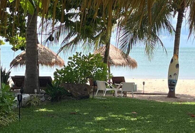 オーシャンビューのスタンダードバンガロー, Margarita Beach