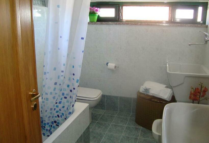 Студия Стандарт, B&b Oliva