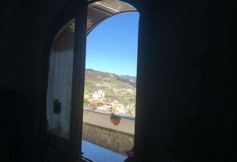 스탠다드 스튜디오, B&b Oliva