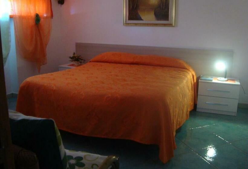 스탠다드 스튜디오, B&b Oliva