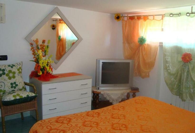 Студия Стандарт, B&b Oliva