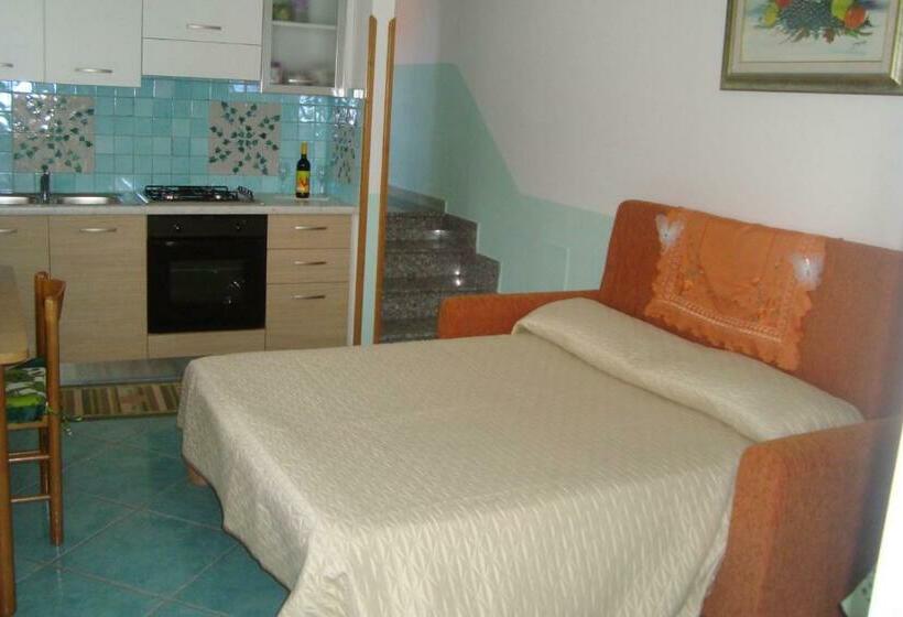 스탠다드 스튜디오, B&b Oliva