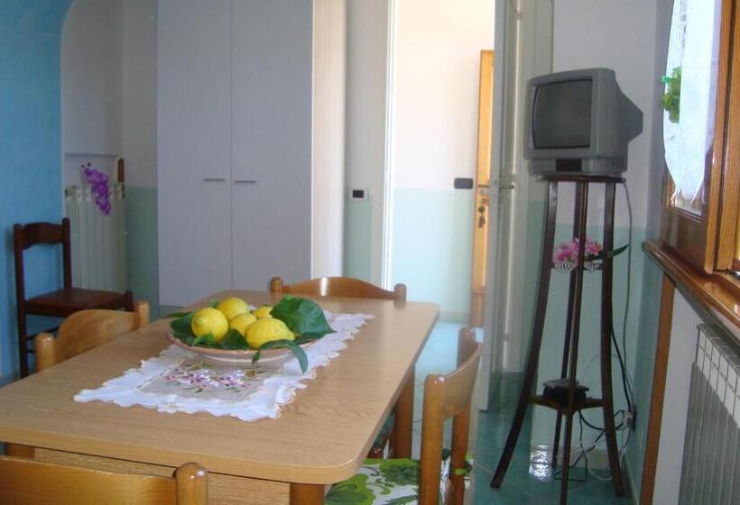 스탠다드 스튜디오, B&b Oliva