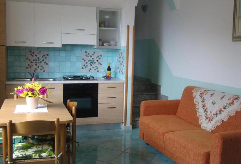 스탠다드 스튜디오, B&b Oliva