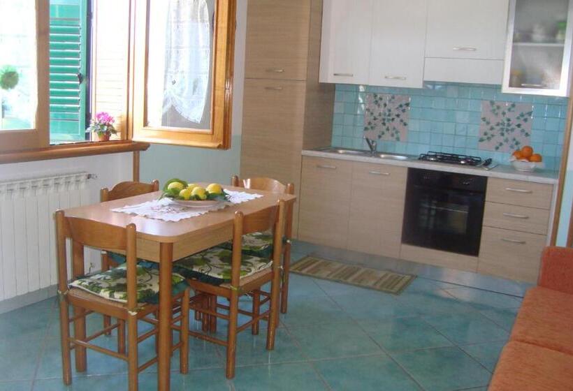 Студия Стандарт, B&b Oliva