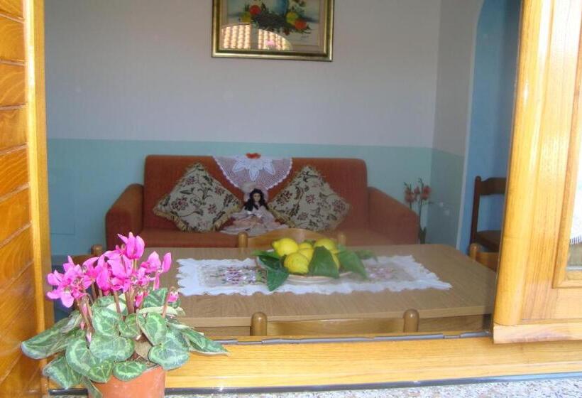 스탠다드 스튜디오, B&b Oliva