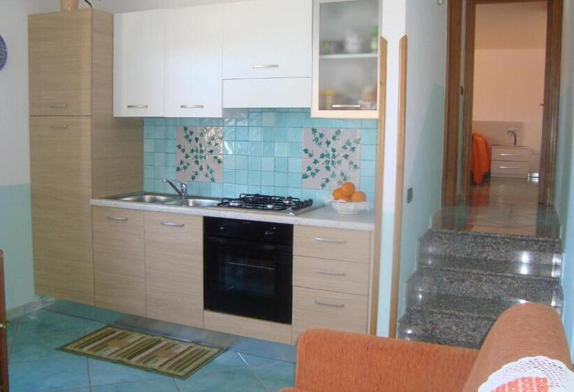 스탠다드 스튜디오, B&b Oliva