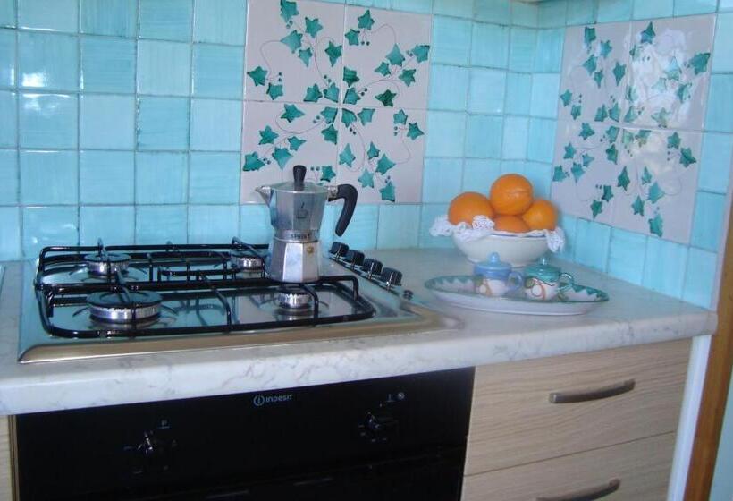 스탠다드 스튜디오, B&b Oliva