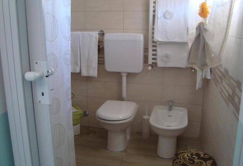 이코노미 룸, B&b Oliva