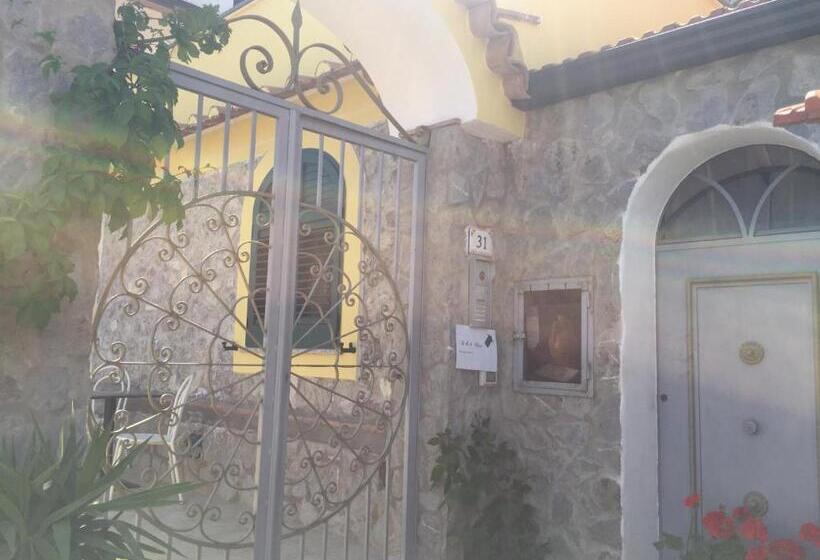 이코노미 룸, B&b Oliva