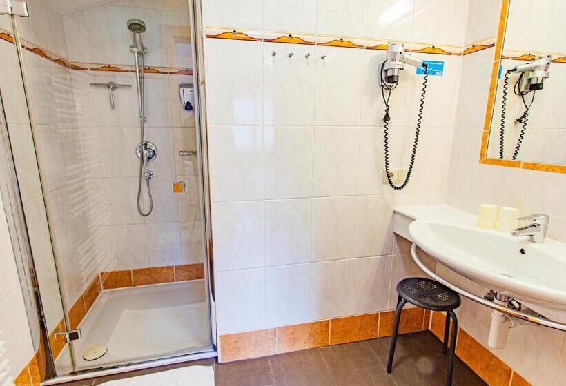 バルコニー付きスタンダードステューディオ, Gästehaus Hartweger