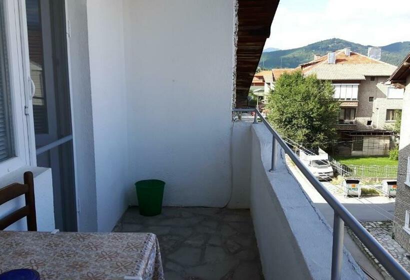 1ベッドルームペントハウスアパート, Guest House Radoychevi