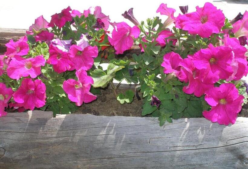 Comfort room with balcony, Leshtenski Perli