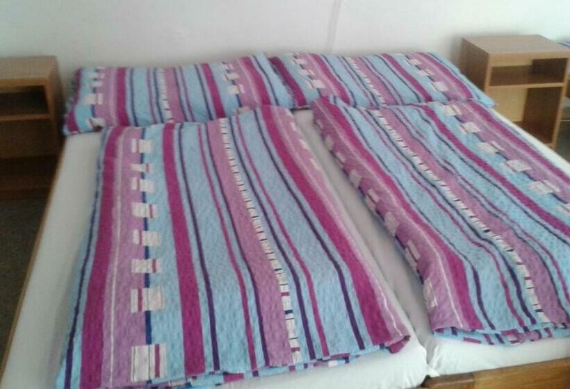 Апартаменты 1 Спальня, Penzión Antónia