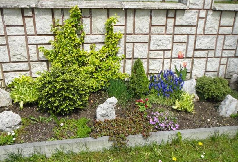 Апартаменты 1 Спальня, Penzión Antónia