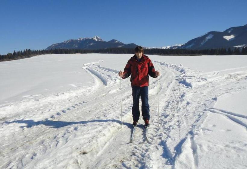 Апартаменты 1 Спальня, Penzión Antónia